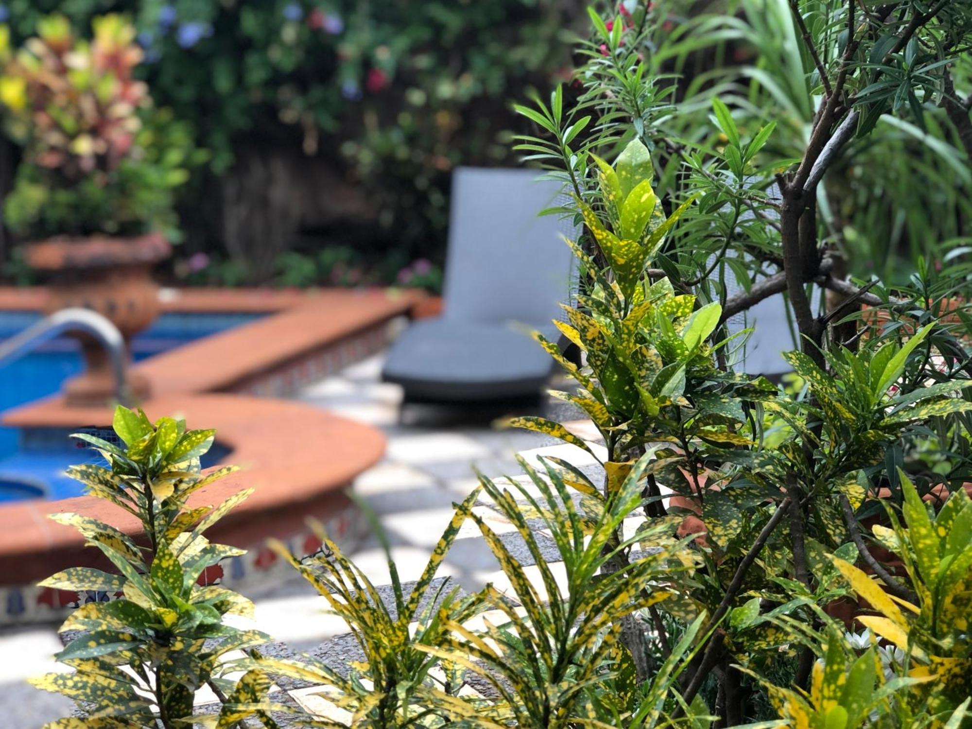 Casa Del Sol Inn Ajijic Eksteriør bilde
